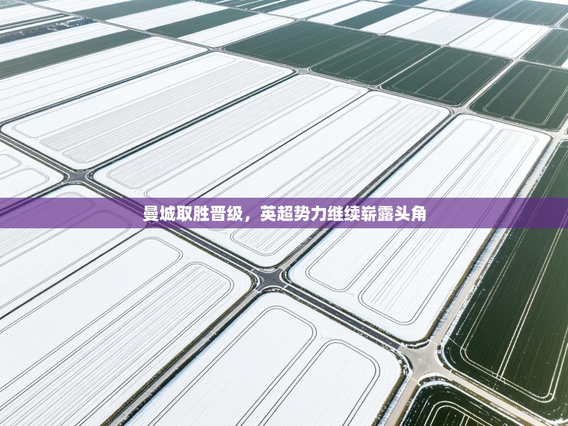 曼城取胜晋级,英超势力继续崭露头角 第2张