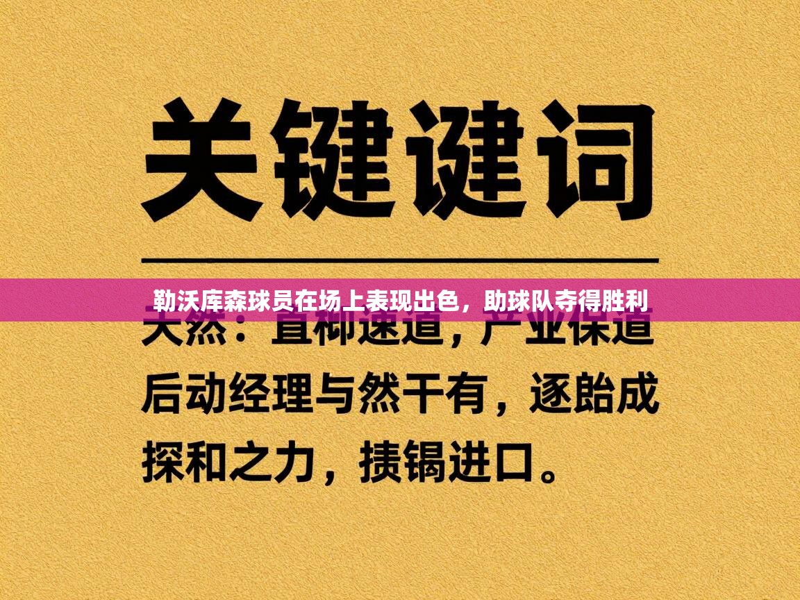 勒沃库森球员在场上表现出色，助球队夺得胜利  第1张