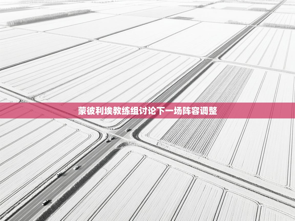 蒙彼利埃教练组讨论下一场阵容调整 第2张