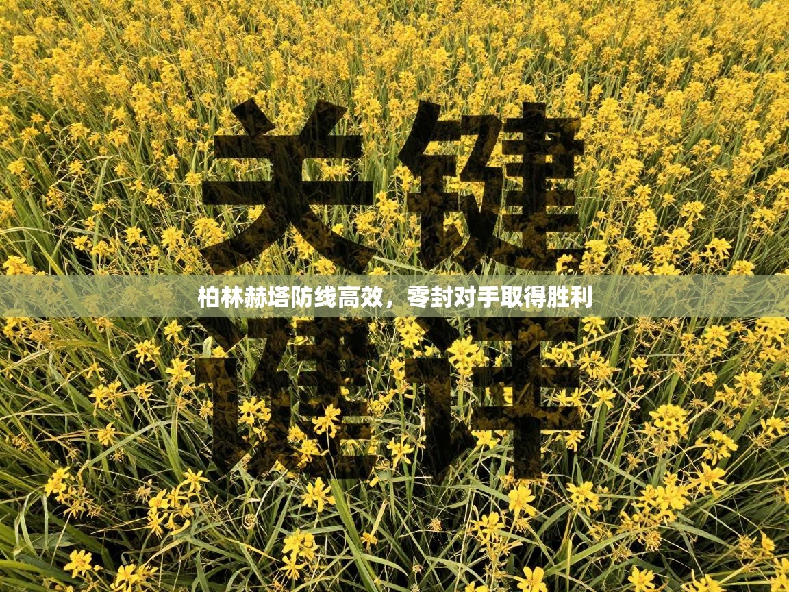 柏林赫塔防线高效，零封对手取得胜利  第2张