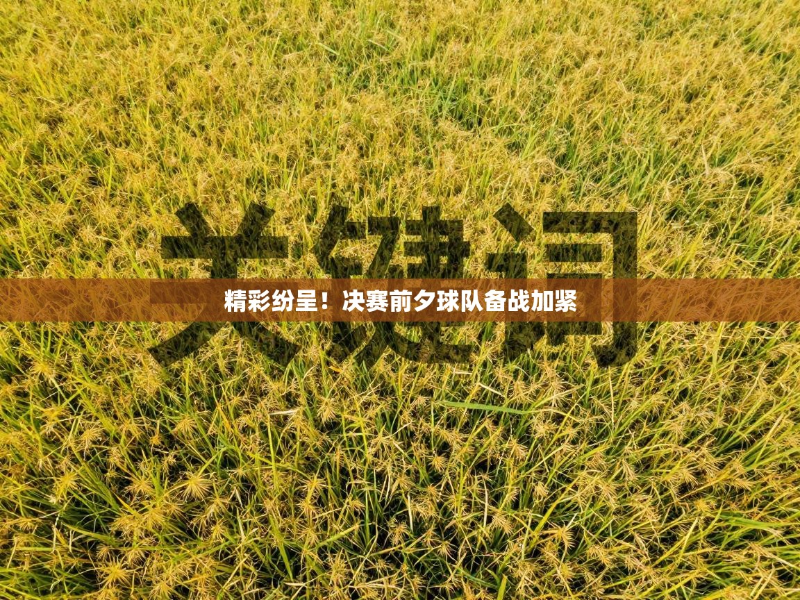 精彩纷呈！决赛前夕球队备战加紧  第2张