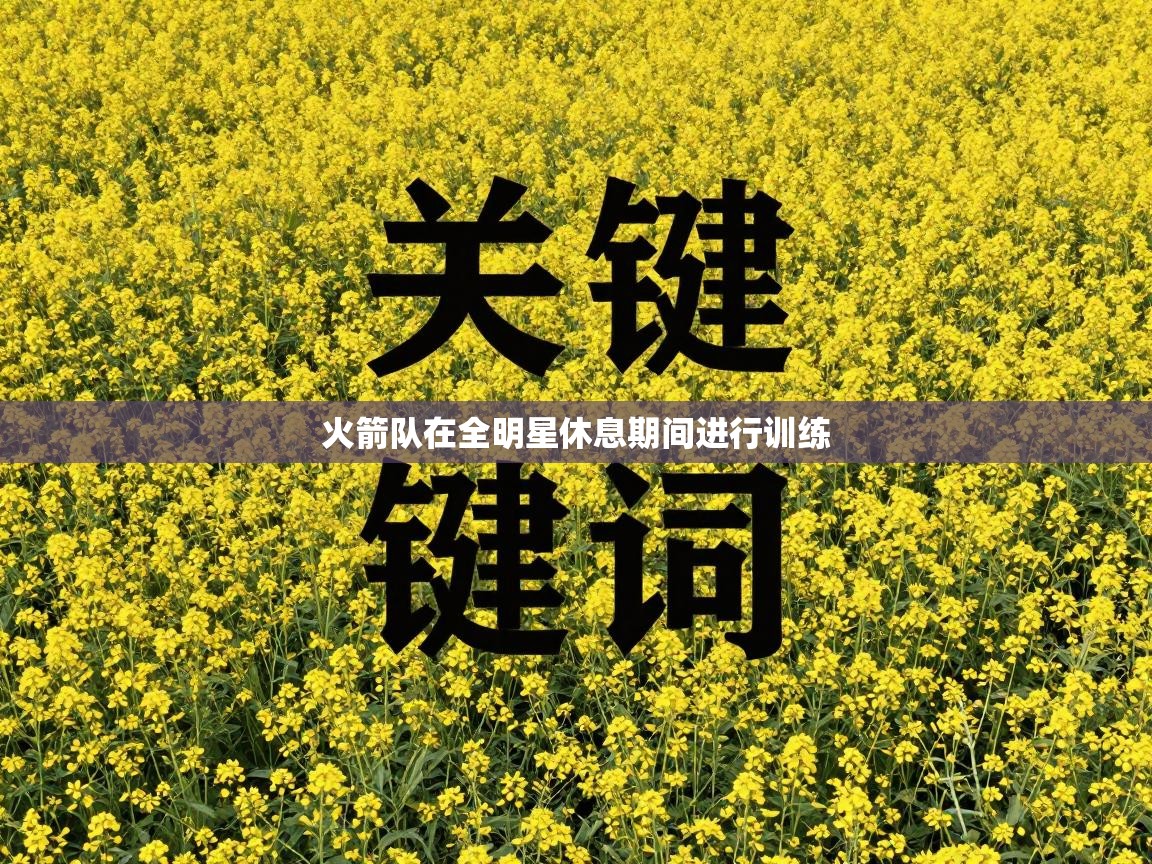 火箭队在全明星休息期间进行训练 第2张