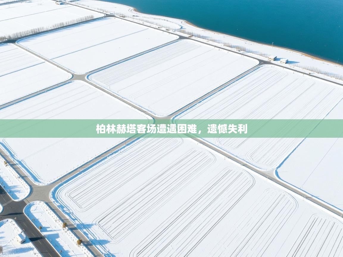 柏林赫塔客场遭遇困难,遗憾失利 第1张